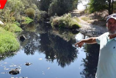 Rengi siyaha döndü