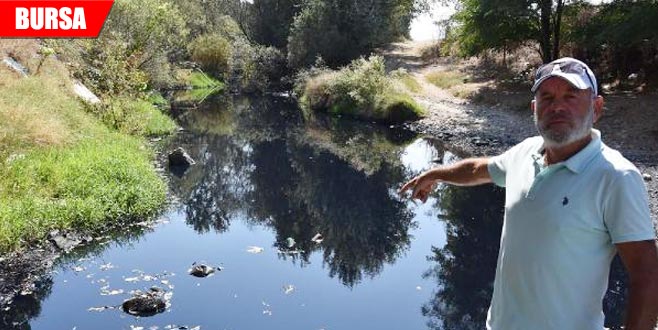 Rengi siyaha döndü