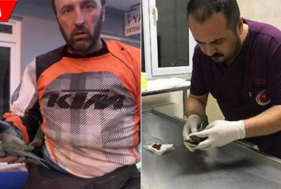 Yaralı haldeydi… Şampiyon motosikletçi buldu