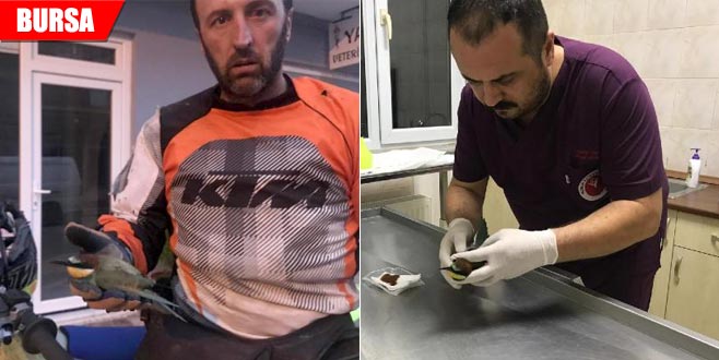 Yaralı haldeydi… Şampiyon motosikletçi buldu