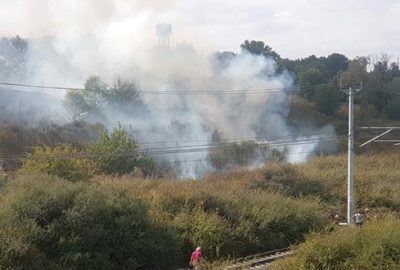Nükleer Araştırma Merkezi’ndeki ağaçlık alandan yangın