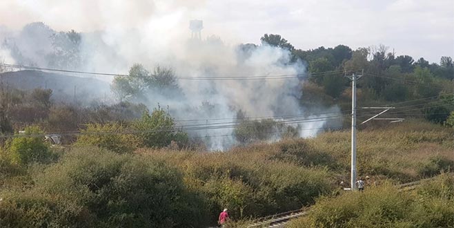 Nükleer Araştırma Merkezi’ndeki ağaçlık alandan yangın Nükleer Araştırma Merkezi’ndeki ağaçlık alandan yangın