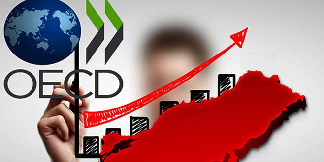 OECD Türkiye tahminini yukarı yünlü revize etti