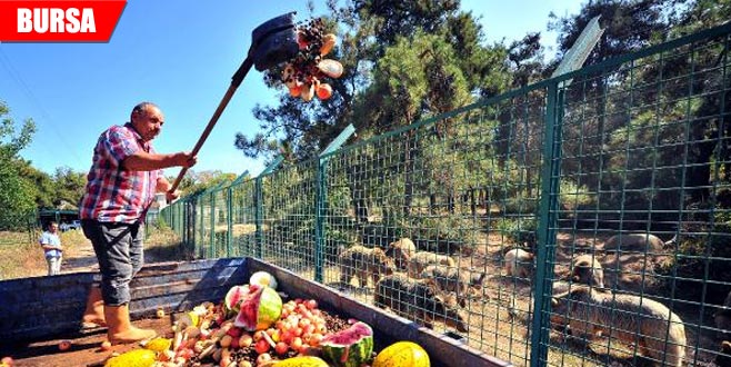 Türkiye’de ilk ve tek! Kışa hazırlanıyorlar Türkiye’de ilk ve tek! Kışa hazırlanıyorlar