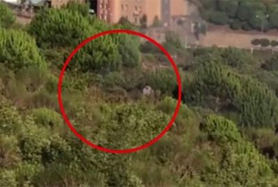 Pendik’teki orman yangını şüphelisi tutuklandı