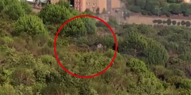 Pendik’teki orman yangını şüphelisi tutuklandı