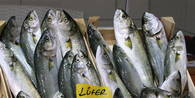 Gram altının yarı fiyatına