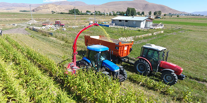 Alo ürünüm tarlada kaldı hasadını yapar mısınız