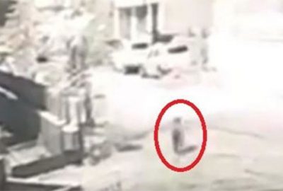 Okul bahçesine ayı girdi