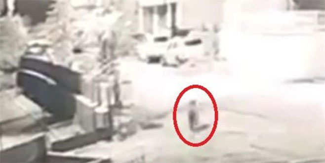 Okul bahçesine ayı girdi