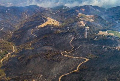 Orman yangınlarının ağır bilançosu