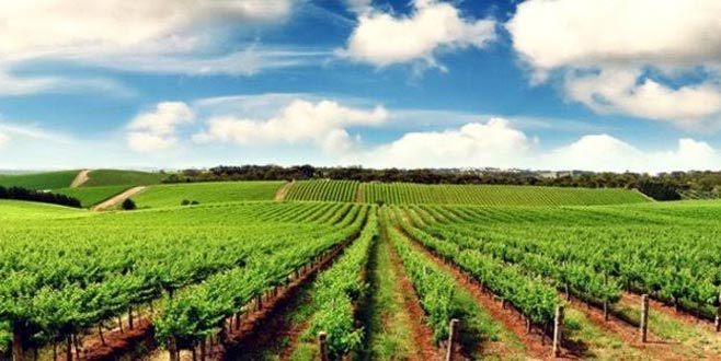 Çiftçilere özel hava durumu