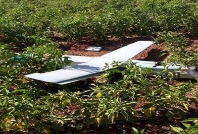 Türk Hava Sahası’nı ihlal eden İHA düşürüldü