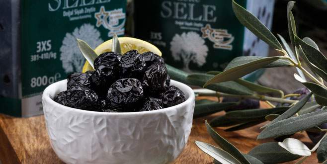 Marmarabirlik’in zarar görmesini isteyen bir lobi var