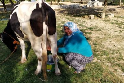 Tarladan sinema yapımcılığına! Kocasına özenip film çekti