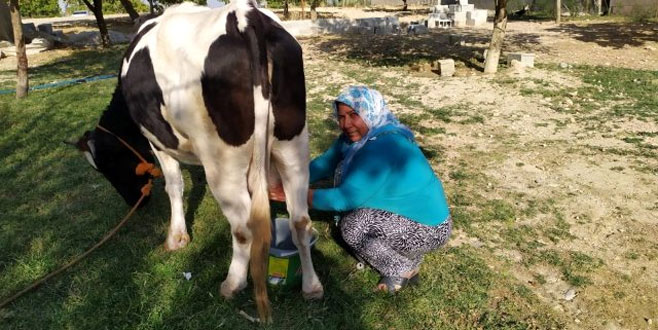 Tarladan sinema yapımcılığına! Kocasına özenip film çekti