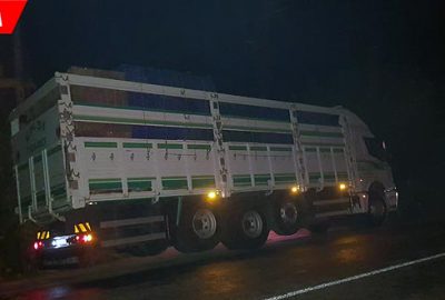 Üzücü kaza! Köpekten korkup yola fırlayınca…