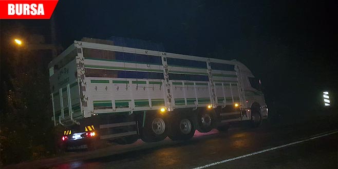 Üzücü kaza! Köpekten korkup yola fırlayınca… Üzücü kaza! Köpekten korkup yola fırlayınca…