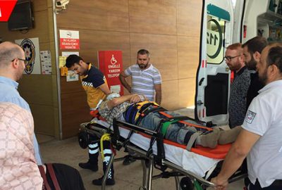 Ceviz ağacından düşüp, ağır yaralandı