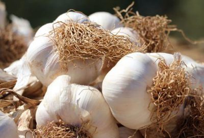 Sarımsağın fiyatı düşüşe geçti