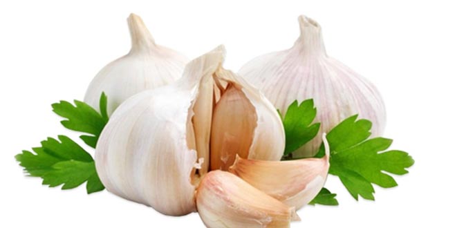 Sarımsakta gümrük vergisi düştü