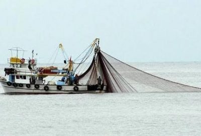 Gırgır tekneleri balık stoklarına zarar verir