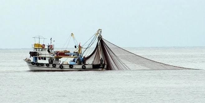 Gırgır tekneleri balık stoklarına zarar verir