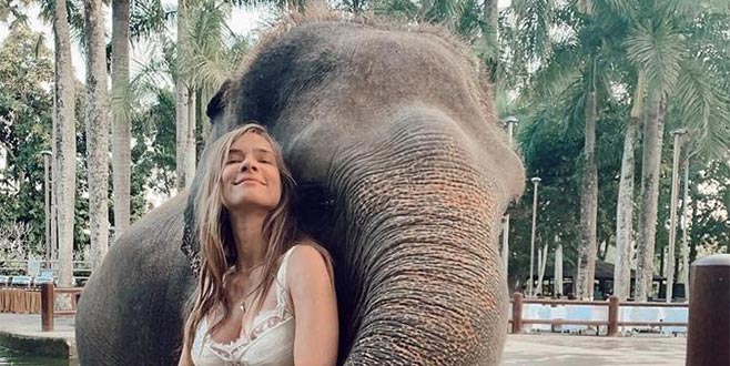 ‘Gördüğüm en nazik hayvan!’