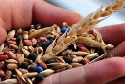 Yem ve tohumda indirim kampanyası