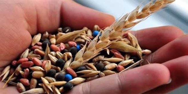 Yem ve tohumda indirim kampanyası