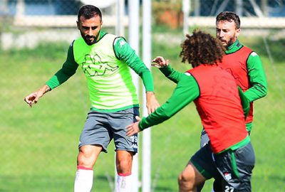 Timsah lidere bileniyor