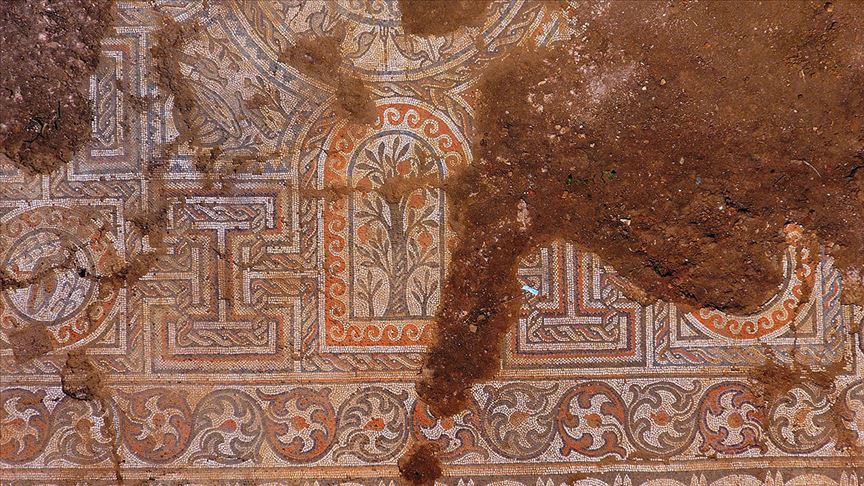 Kaçak kazıda bulunan mozaik gün ışığına çıkarılıyor