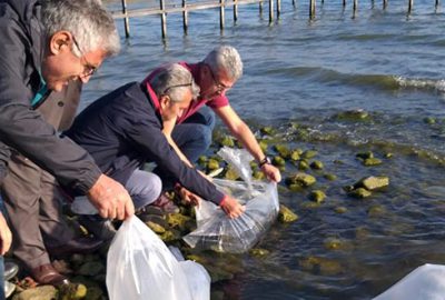 İznik gölüne 6 bin yayın yavrusu bırakıldı