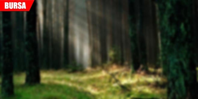 Ormanda feci olay