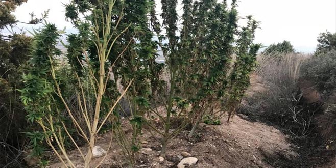 Yenişehir’de uyuşturucu operasyonu Yenişehir’de uyuşturucu operasyonu