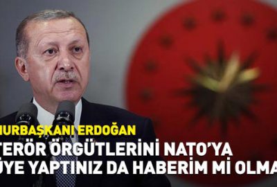 Cumhurbaşkanı Erdoğan: Terör örgütünü NATO’ya üye mi yaptınız?