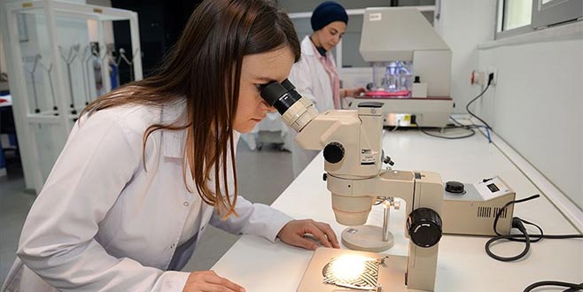 Doktora öğrencilerine 4 bin 500 TL burs