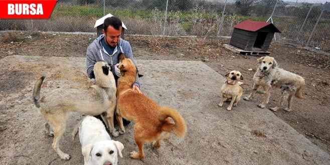 Hayatını onlara adadı Hayatını onlara adadı