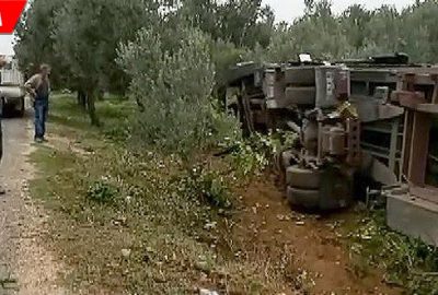 TIR zeytin bahçesine devrildi