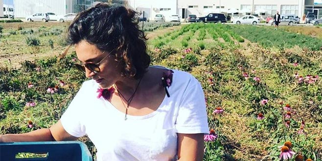 Tıbbi tarıma el attı