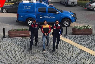 Daha fazla kaçamadı! Ağaç kovuğunda yakalandı