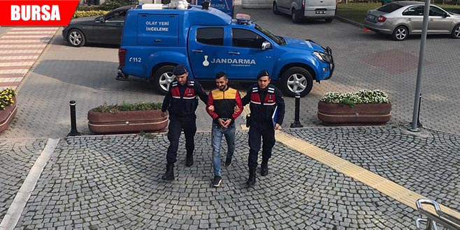 Daha fazla kaçamadı! Ağaç kovuğunda yakalandı