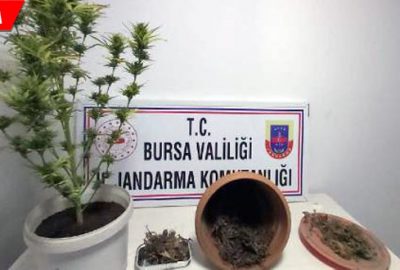 Lokantaya uyuşturucu operasyonu