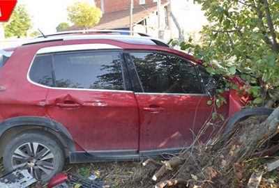 Meyve bahçesinde daldı: 3 yaralı