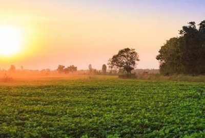 2B’den 3 yılda 1,7 milyar TL gelir bekleniyor