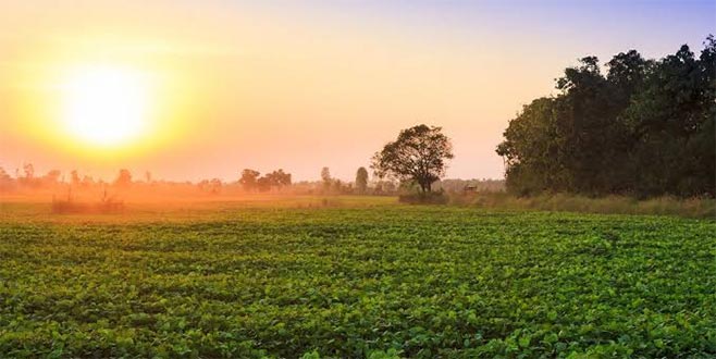 2B’den 3 yılda 1,7 milyar TL gelir bekleniyor