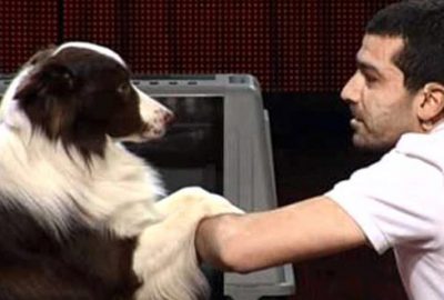 Yetenek Sizsiniz şampiyonundan kötü haber!