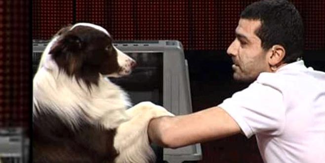 Yetenek Sizsiniz şampiyonundan kötü haber!