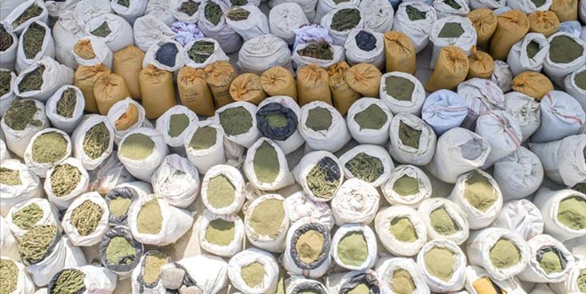 PKK’ya ‘uyuşturucu’ darbesi