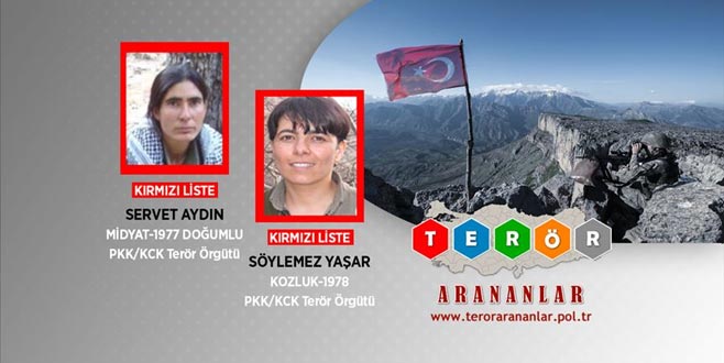 MİT ve TSK’dan PKK’ya ağır darbe